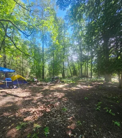 $70,000 | V/l East Side Drive, Beaver Island, MI 49782