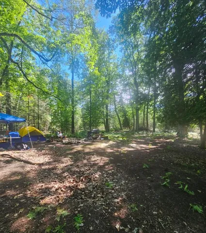 $86,026 | V/l East Side Drive, Beaver Island, MI 49782