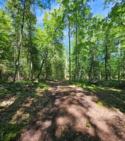 $86,026 | V/l East Side Drive, Beaver Island, MI 49782