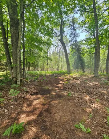 $70,000 | V/l East Side Drive, Beaver Island, MI 49782