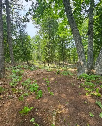 $86,026 | V/l East Side Drive, Beaver Island, MI 49782