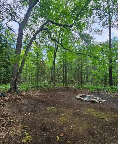 $86,026 | V/l East Side Drive, Beaver Island, MI 49782