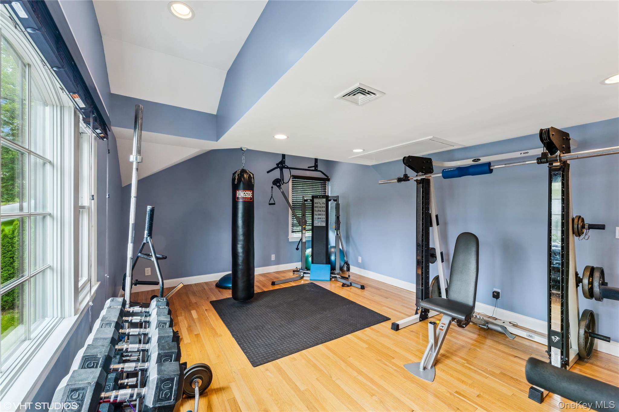 15 Flamingo Road East Hills, NY 11576 - Photo 32 of 41 Workout room with plenty of natural light, recessed lighting, and light wood-style flooring