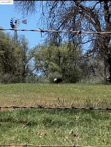 a view of wooden floor
