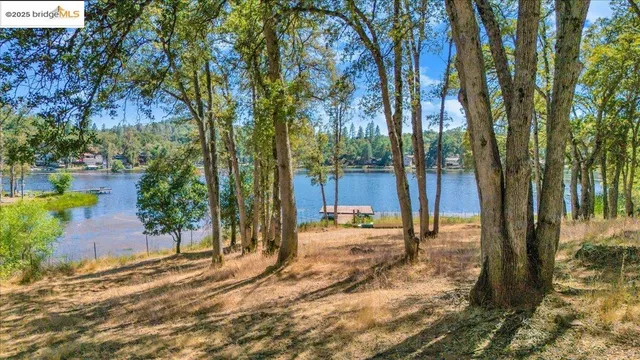 a view of a backyard with large trees