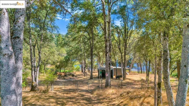 a view of outdoor space with garden