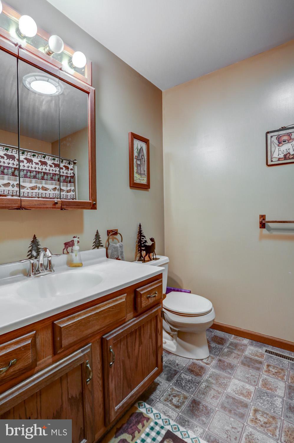 431 Vinemont Road Reading, PA 19608 - Photo 25 of 70 Main Level Full Bath