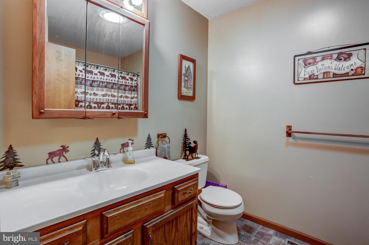 431 Vinemont Road Reading, PA 19608 - Photo 26 of 70