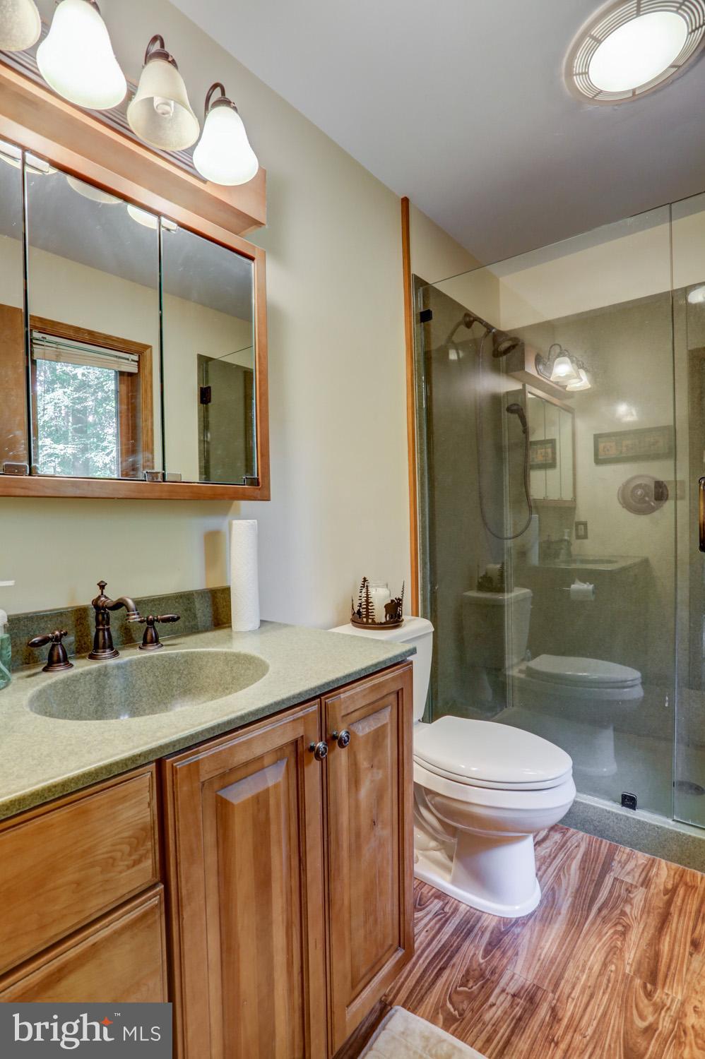431 Vinemont Road Reading, PA 19608 - Photo 31 of 70