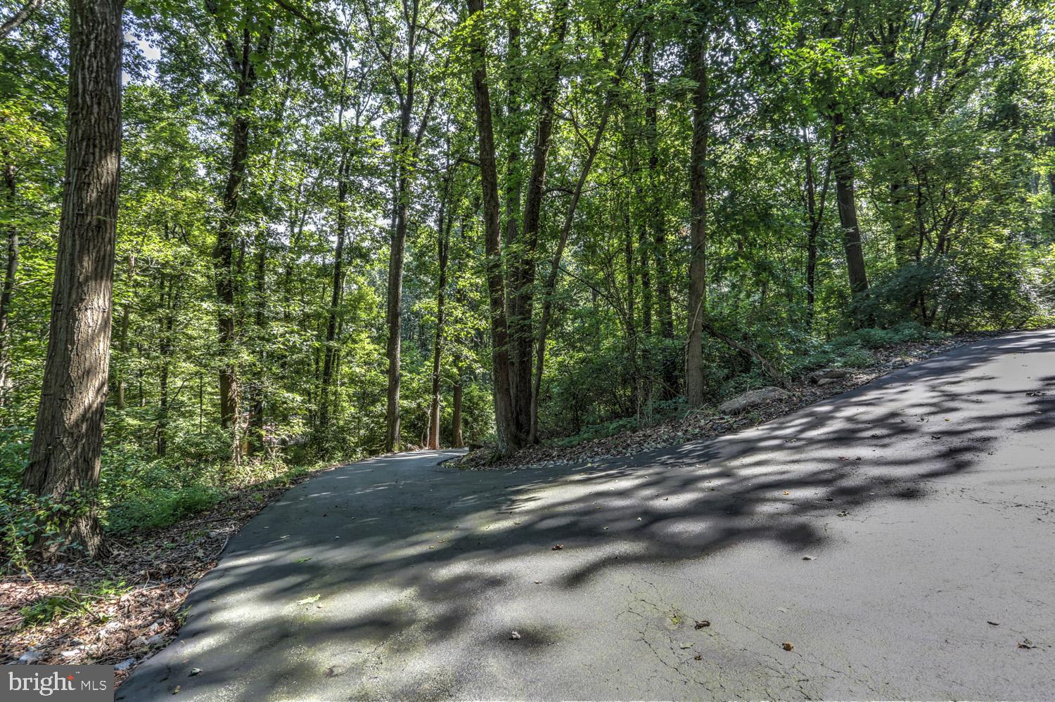 431 Vinemont Road Reading, PA 19608 - Photo 56 of 70