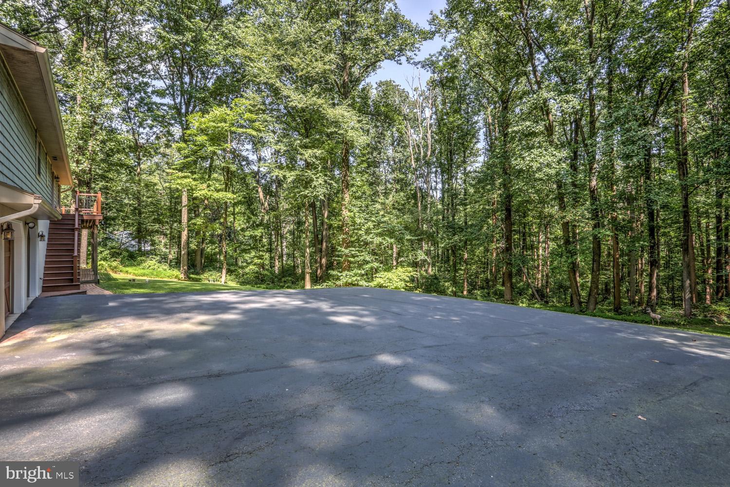 431 Vinemont Road Reading, PA 19608 - Photo 59 of 70