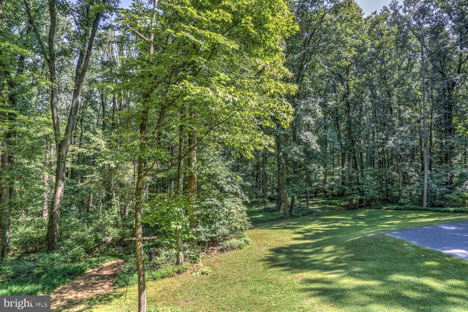 431 Vinemont Road Reading, PA 19608 - Photo 65 of 70