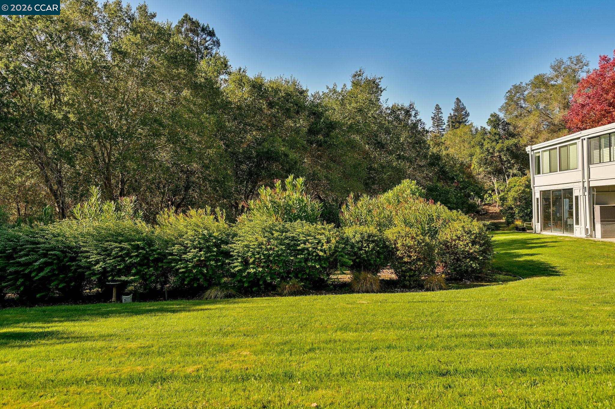 2057 Golden Rain Road, Unit 4 Walnut Creek, CA 94595 - Photo 7 of 20 a view of a big yard with an trees