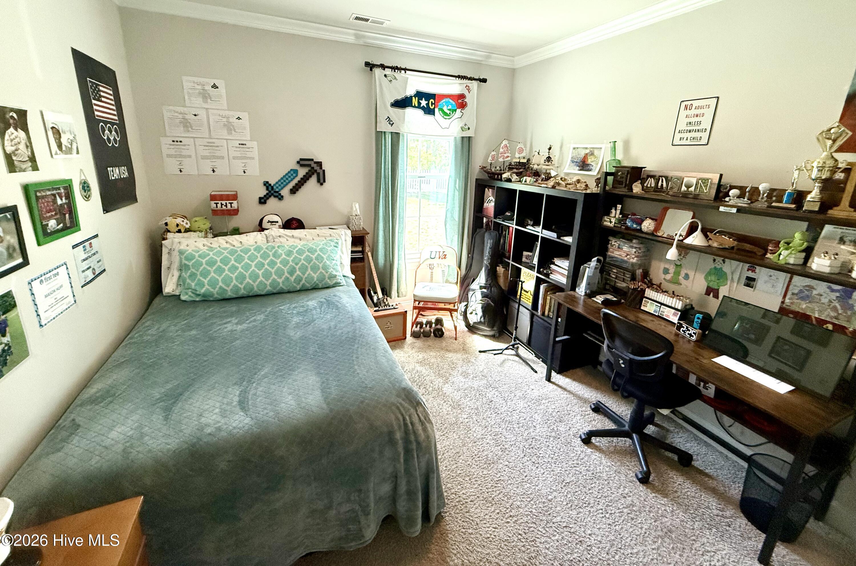 5010 Spring Green Pass New Bern, NC 28562 - Photo 20 of 61 bedroom 1