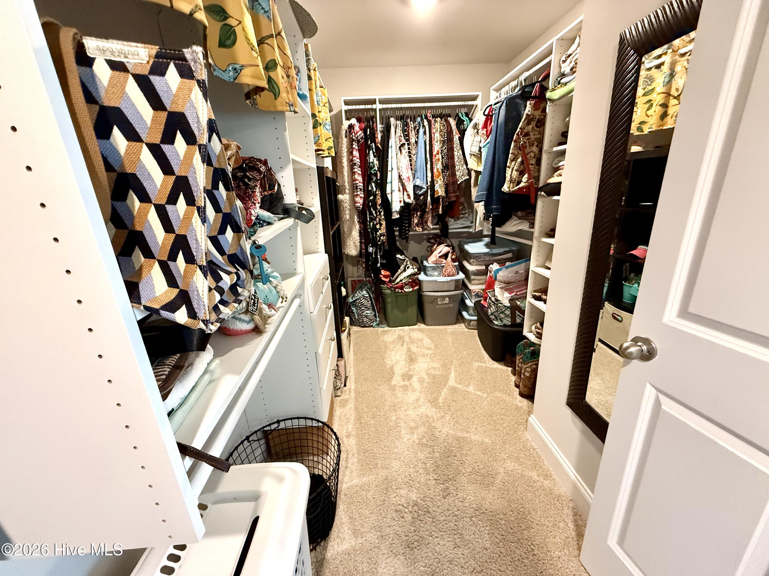 5010 Spring Green Pass New Bern, NC 28562 - Photo 40 of 61 closet her side