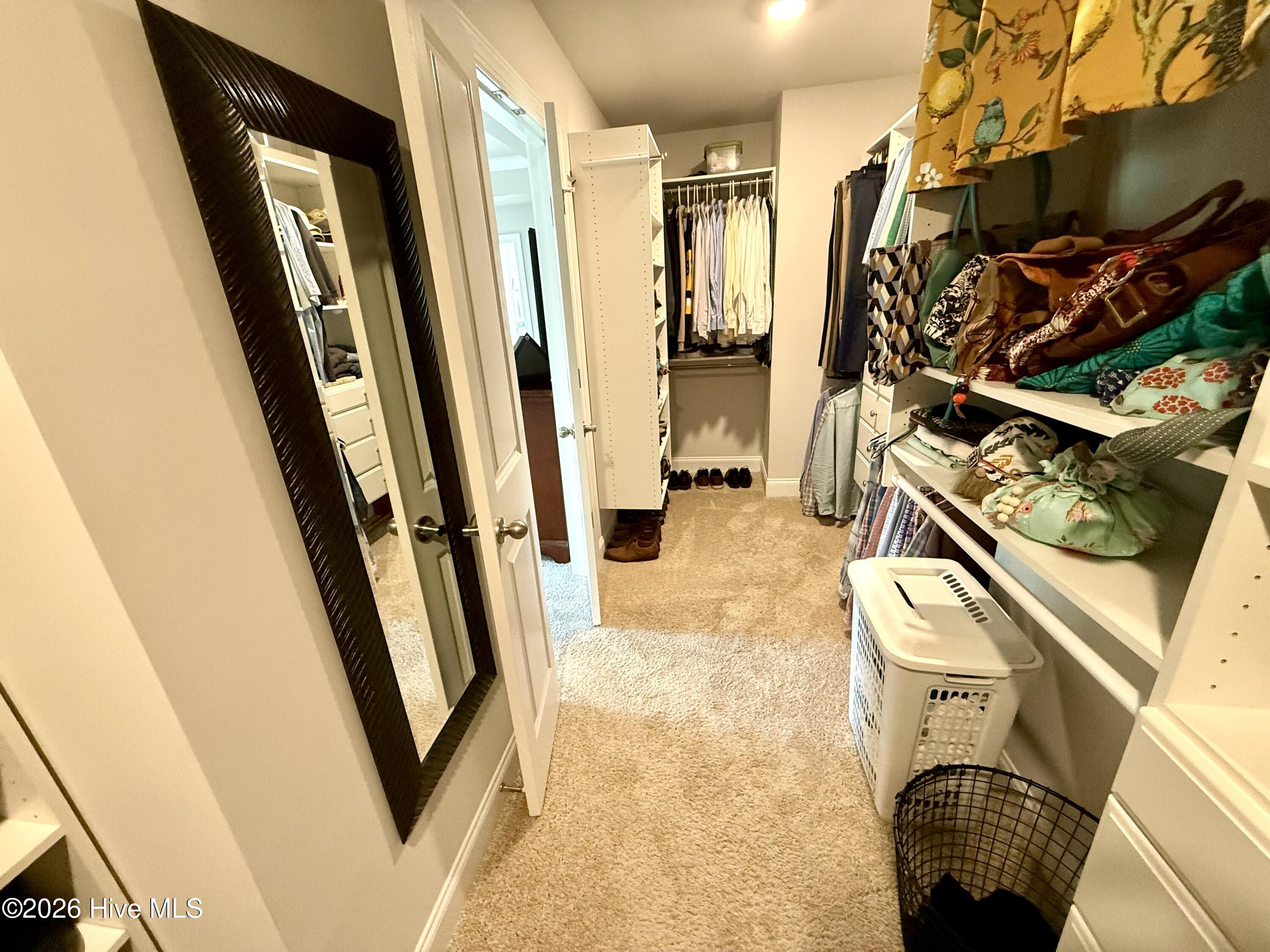 5010 Spring Green Pass New Bern, NC 28562 - Photo 41 of 61 closet his side