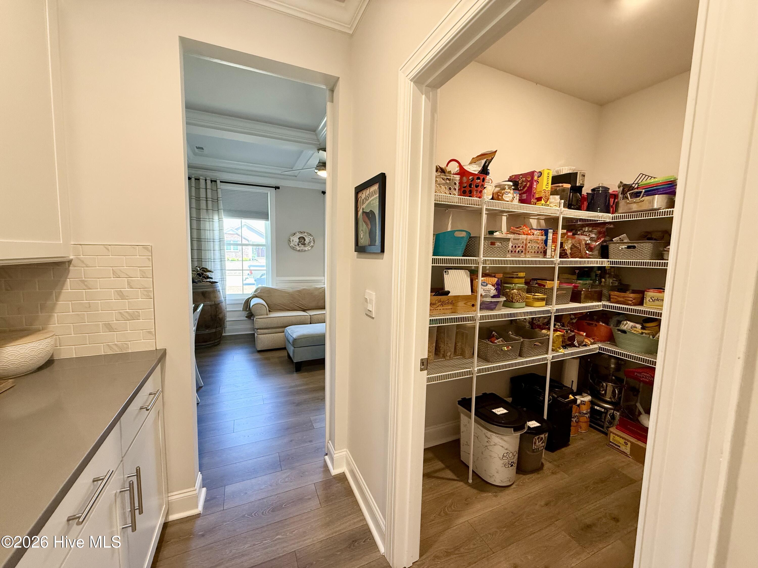 5010 Spring Green Pass New Bern, NC 28562 - Photo 7 of 61 Pantry