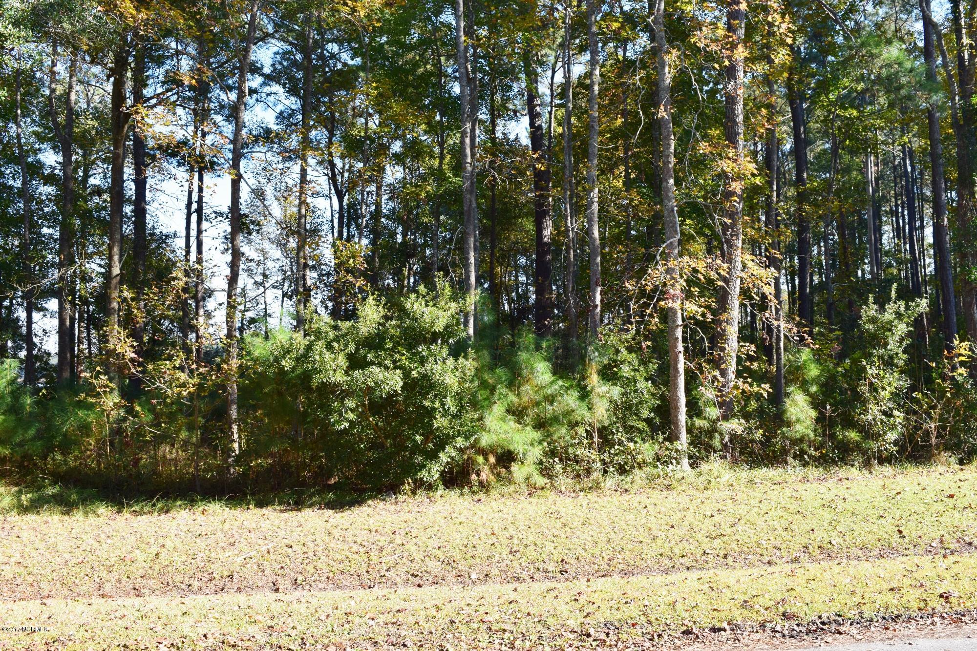 974 Becton Road Havelock, NC 28532 - Photo 6 of 9 Wooded Lot
