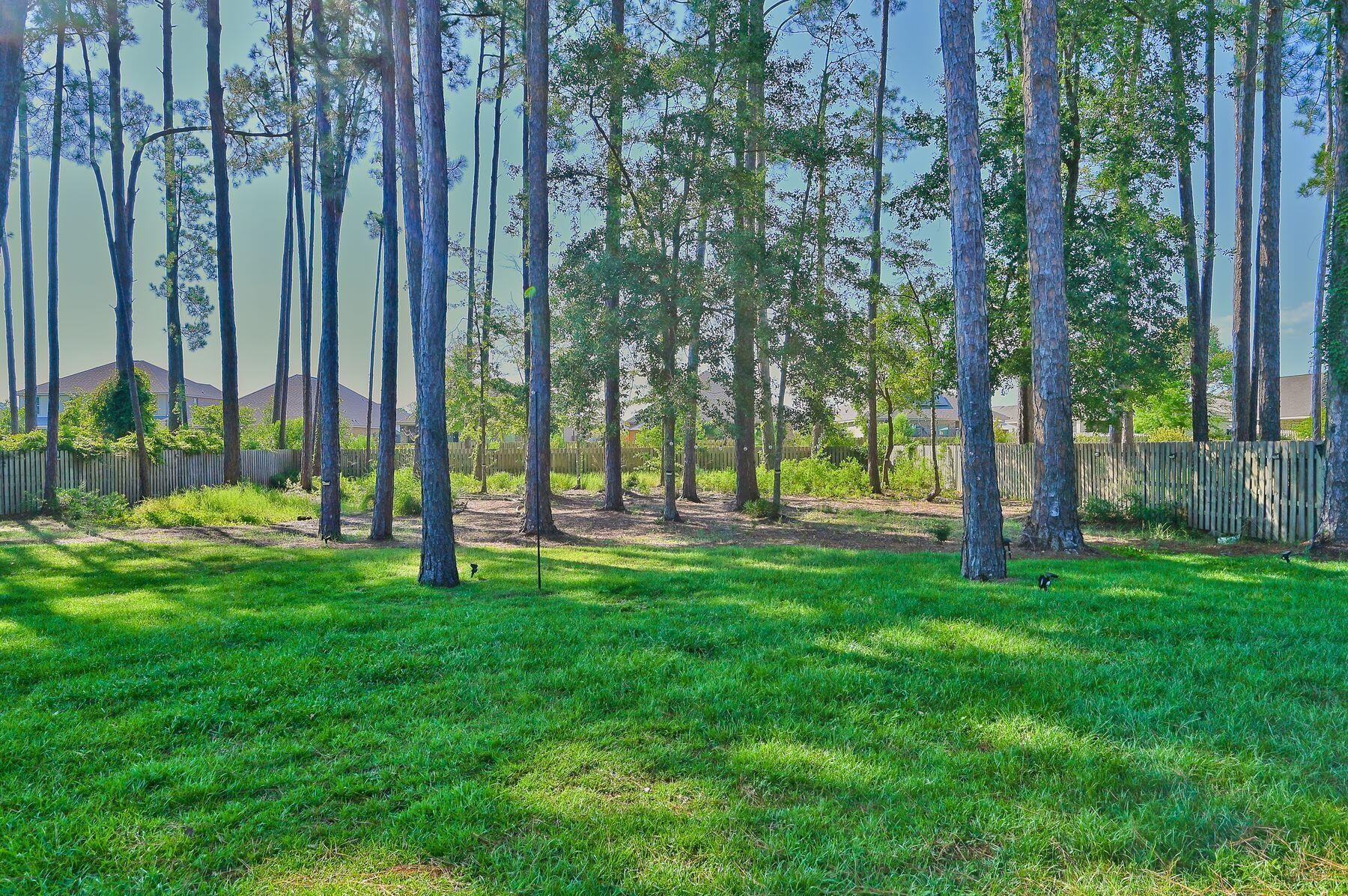 374 Driftwood Point Road Santa Rosa Beach, FL 32459 - Photo 28 of 35 a view of yard with a backyard
