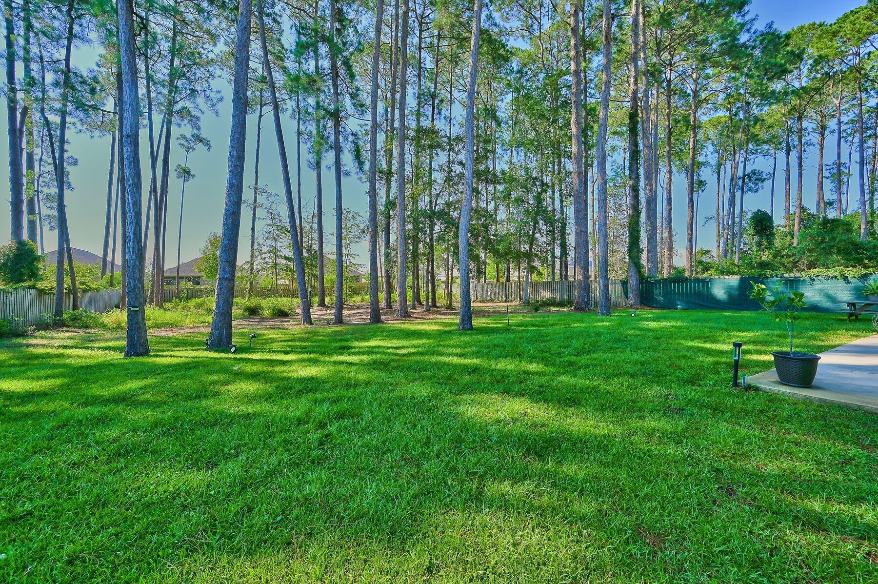 374 Driftwood Point Road Santa Rosa Beach, FL 32459 - Photo 31 of 35 a view of green field with trees in the background
