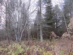 330 Routhier Road Newport Center, VT 05857 - Photo 27 of 39 Gallery Image 27