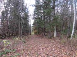 330 Routhier Road Newport Center, VT 05857 - Photo 28 of 39 Gallery Image 28