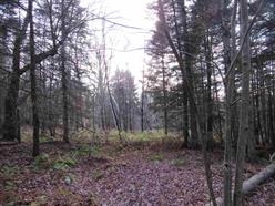 330 Routhier Road Newport Center, VT 05857 - Photo 29 of 39 Gallery Image 29