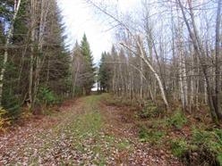 330 Routhier Road Newport Center, VT 05857 - Photo 31 of 39 Gallery Image 31