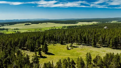 $5,750,000 | Hazelton Road, Buffalo, WY 82834