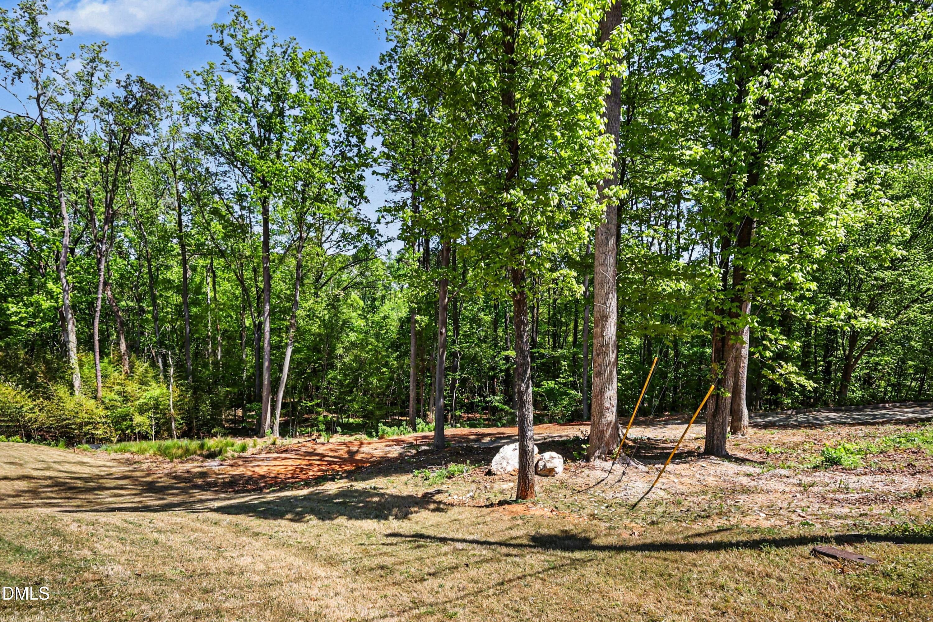810 Southwest Maynard Road Cary, NC 27511 - Photo 4 of 14 a backyard of a house with lots of green space