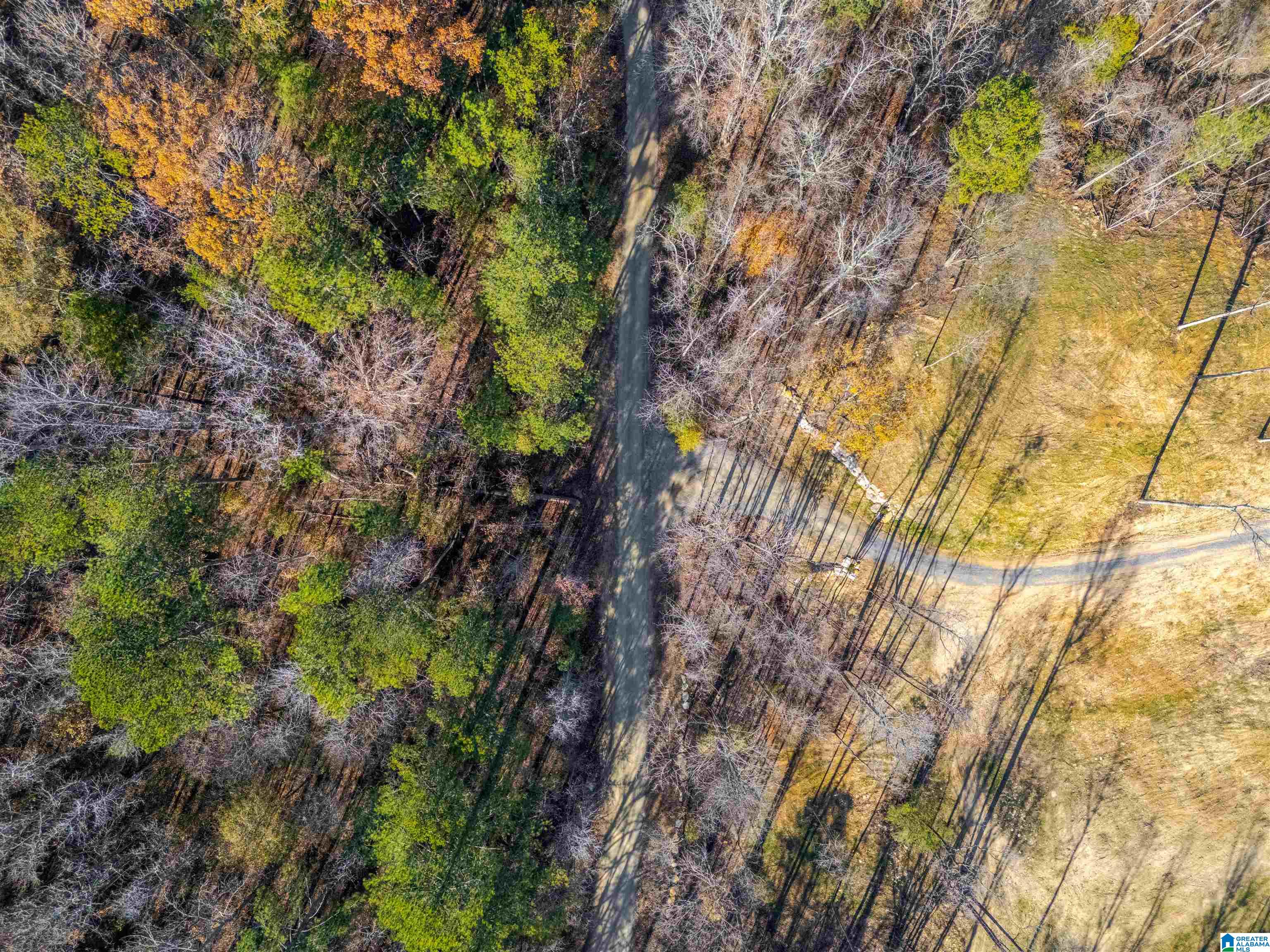 4245 Union T Road Talladega, AL 35160 - Photo 62 of 87