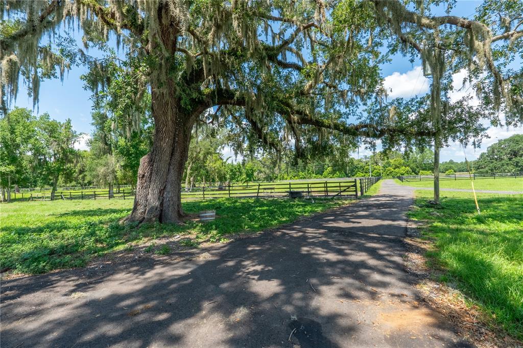 88 Culbreath Road Brooksville, FL 34602 - Photo 31 of 67