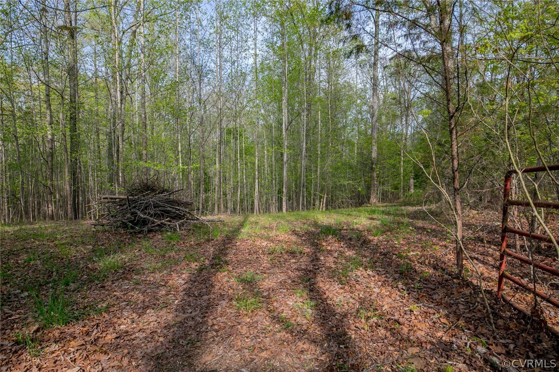 2887 Sandy Hook Road Sandy Hook, VA 23153 - Photo 36 of 37 Gallery Image 36