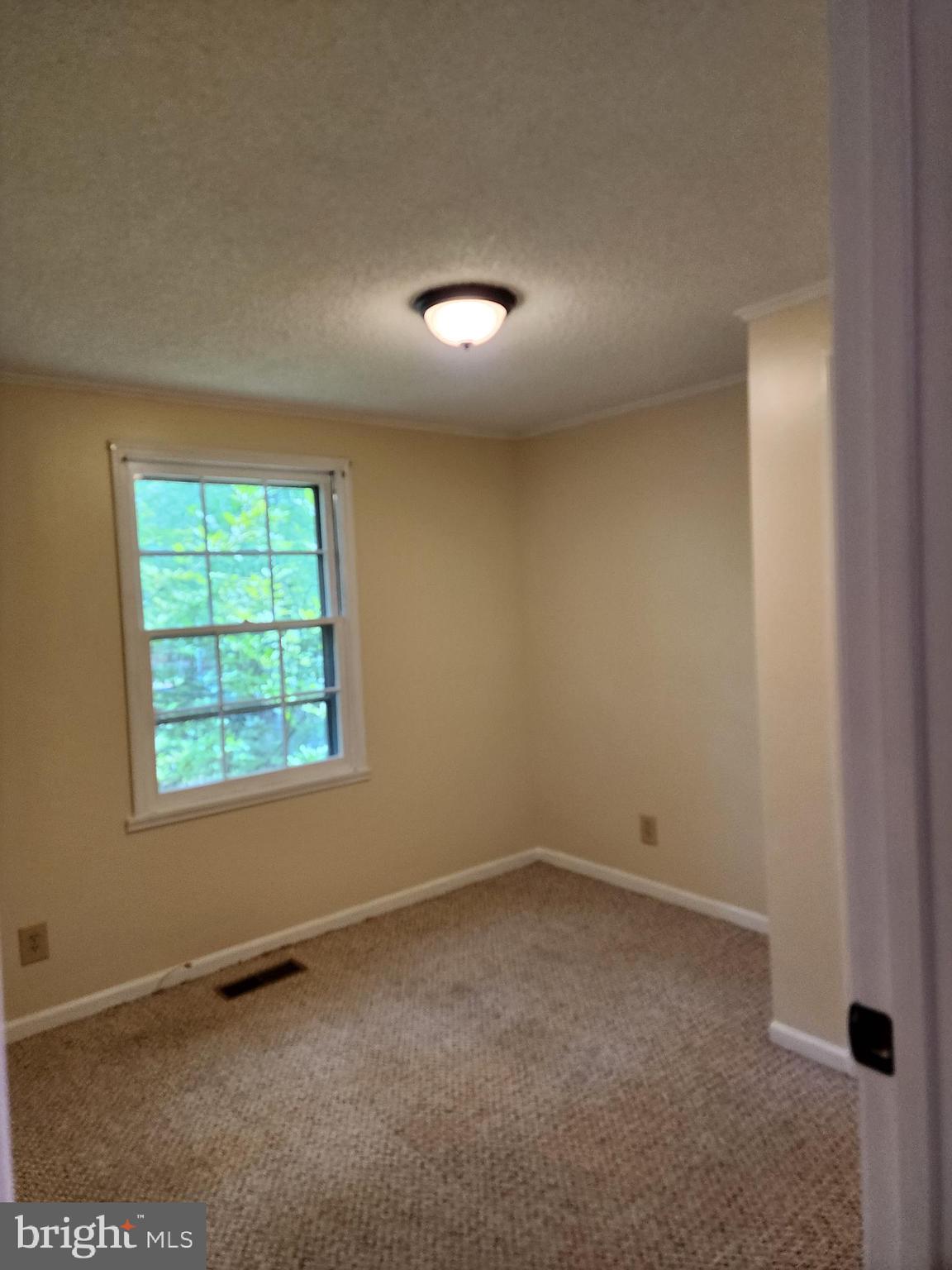 304 Gold Valley Road Locust Grove, VA 22508 - Photo 24 of 31 Gallery Image 24