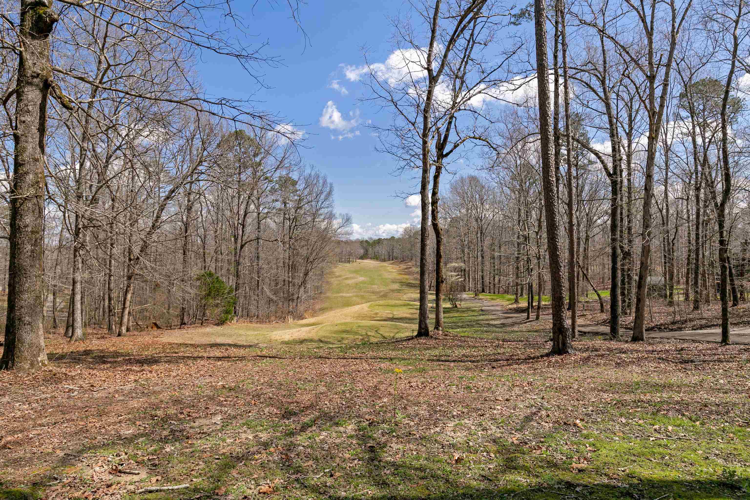 685 Old South Road Counce, TN 38326 - Photo 19 of 25 Gallery Image 19