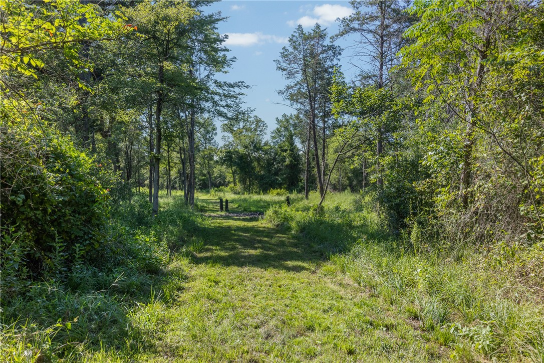 16135 Wilson Pasture Road Bryan, TX 77808 - Photo 16 of 29