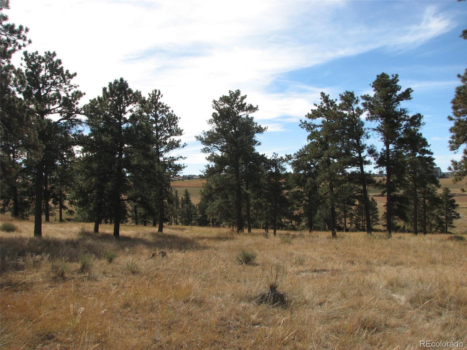 8 Shadow Pines Road Parker, CO 80138 - Photo 3 of 4 Gallery Image 3
