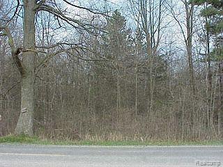 G3 North Nicholson Road Fowlerville, MI 48836 - Photo 2 of 2 Beautiful Wooded 2 acres