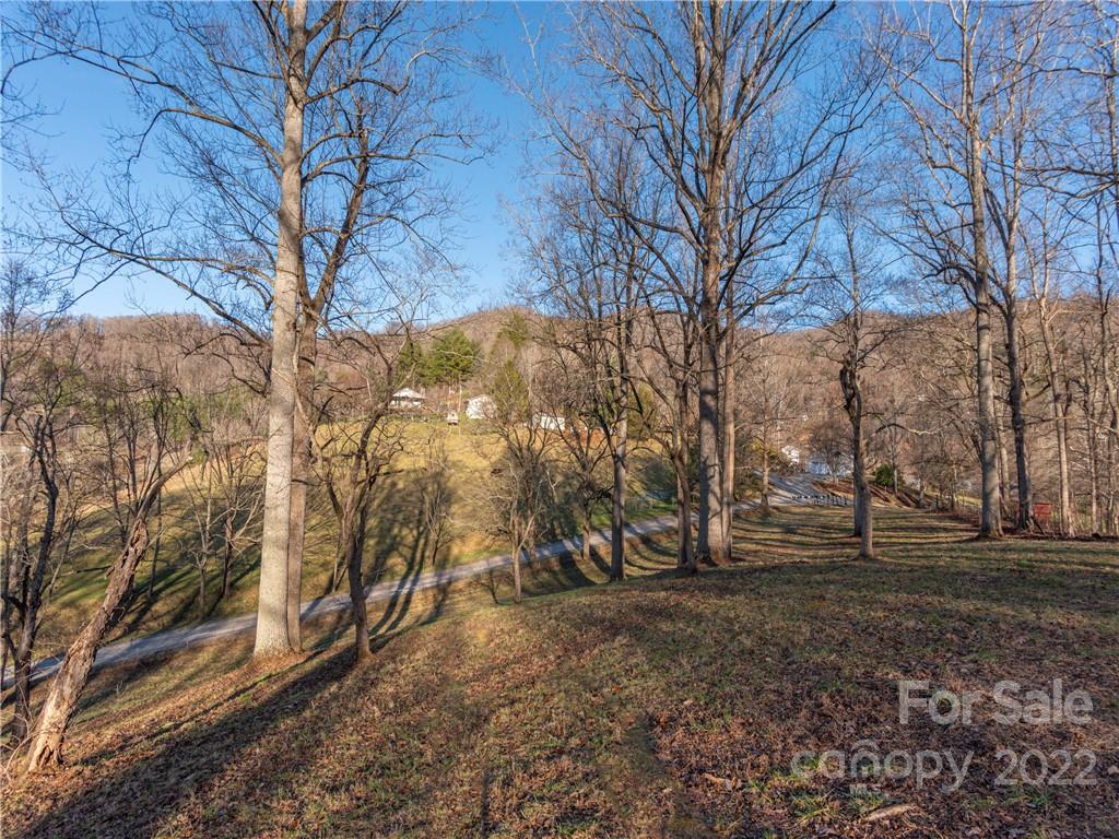 1179 Max Thompson Road Canton, NC 28716 - Photo 33 of 41