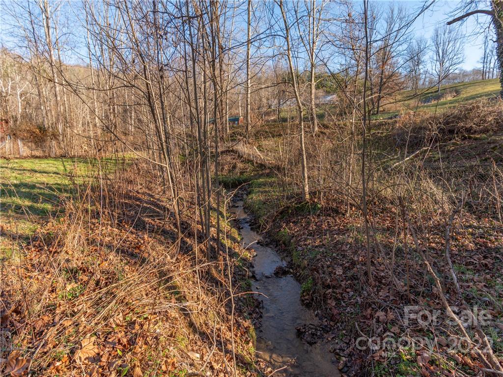 1179 Max Thompson Road Canton, NC 28716 - Photo 36 of 41