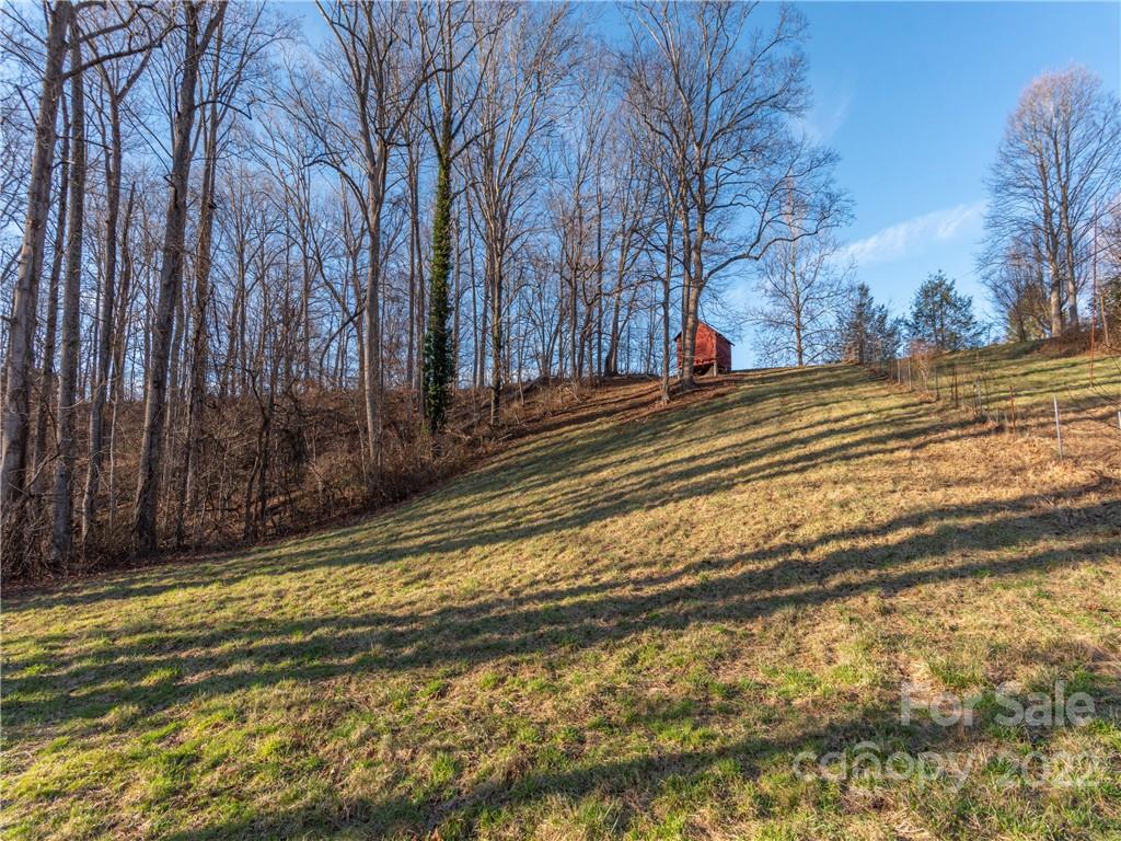 1179 Max Thompson Road Canton, NC 28716 - Photo 38 of 41