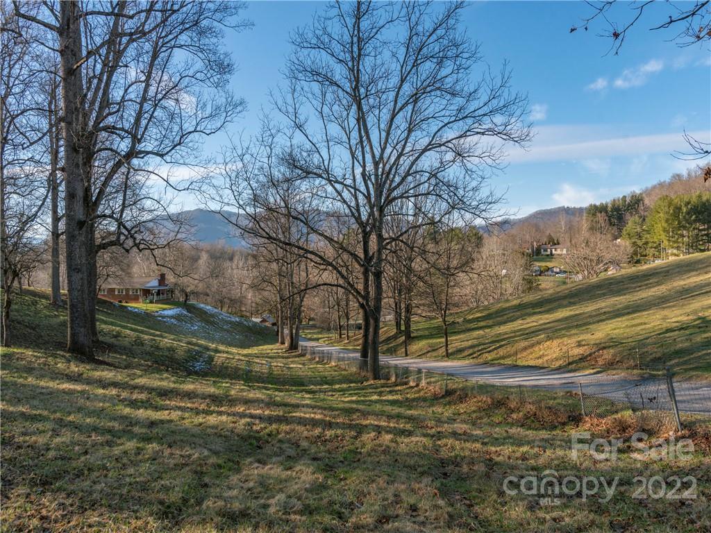 1179 Max Thompson Road Canton, NC 28716 - Photo 7 of 41 a view of road with large trees