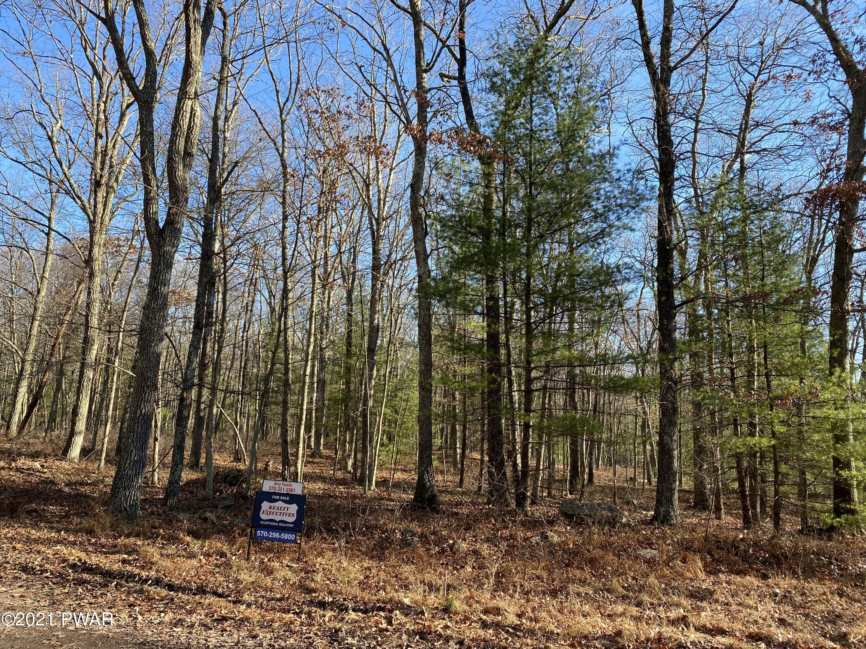 7 Carninelle Road Hawley, PA 18428 - Photo 2 of 2