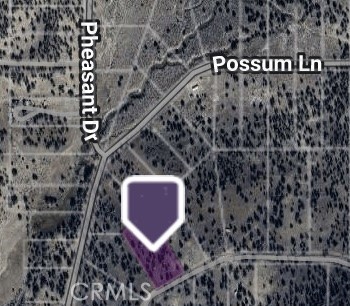 a view of a bench in wooden wall