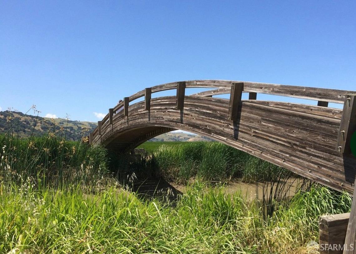 5262 Alhambra Valley Road Martinez, CA 94553 - Photo 53 of 69