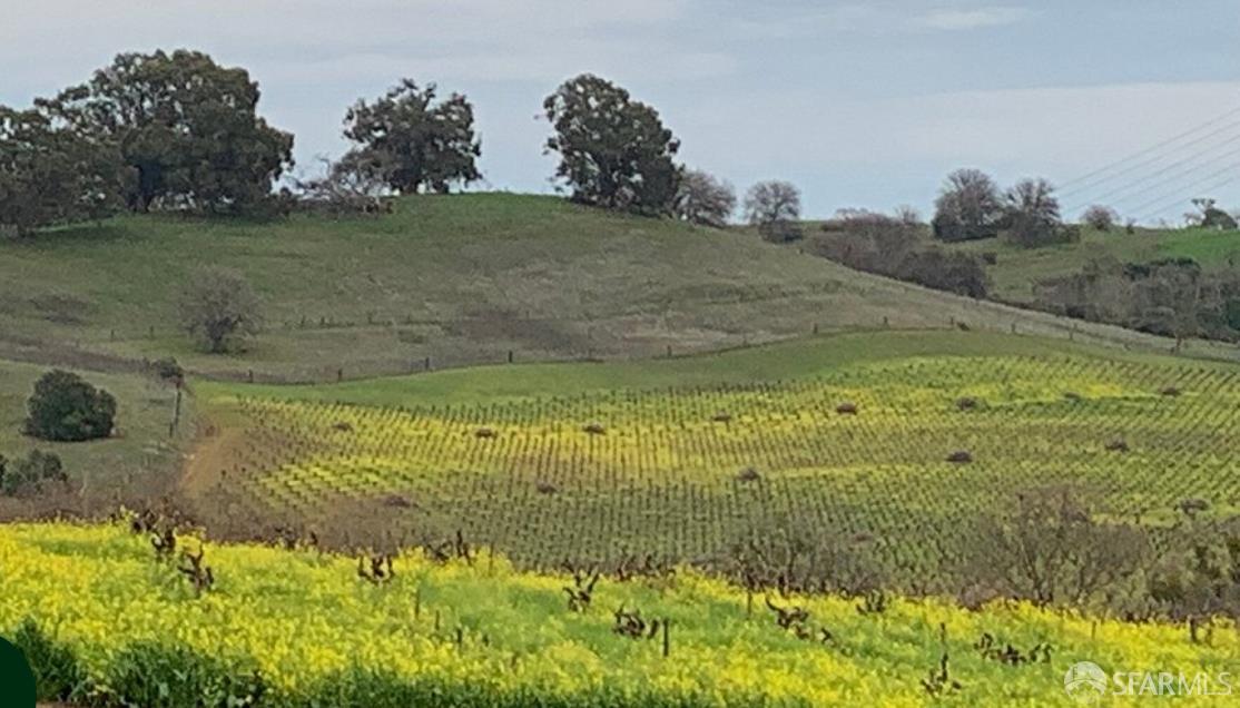 5262 Alhambra Valley Road Martinez, CA 94553 - Photo 54 of 69