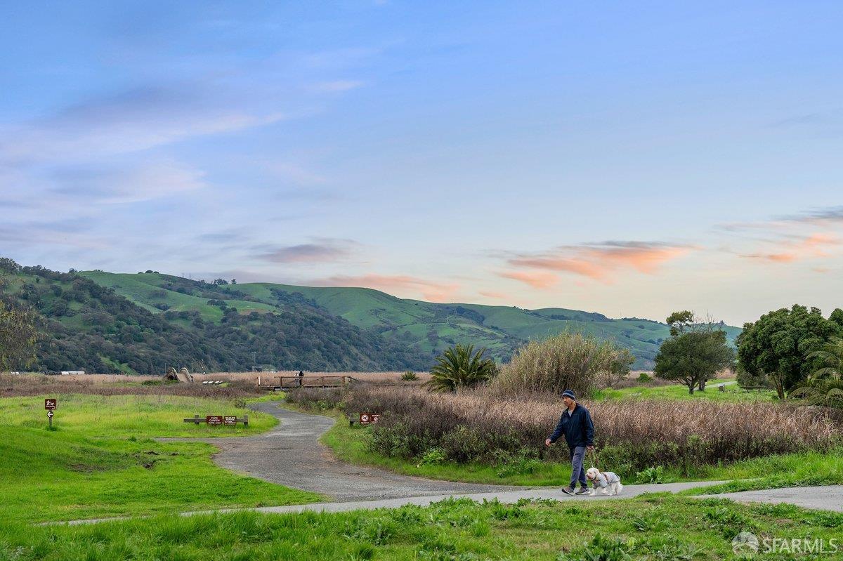 5262 Alhambra Valley Road Martinez, CA 94553 - Photo 68 of 69