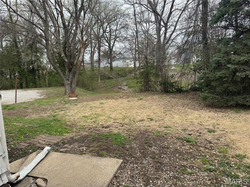 233 Springfield Road Hillsboro, IL 62049 - Photo 14 of 15