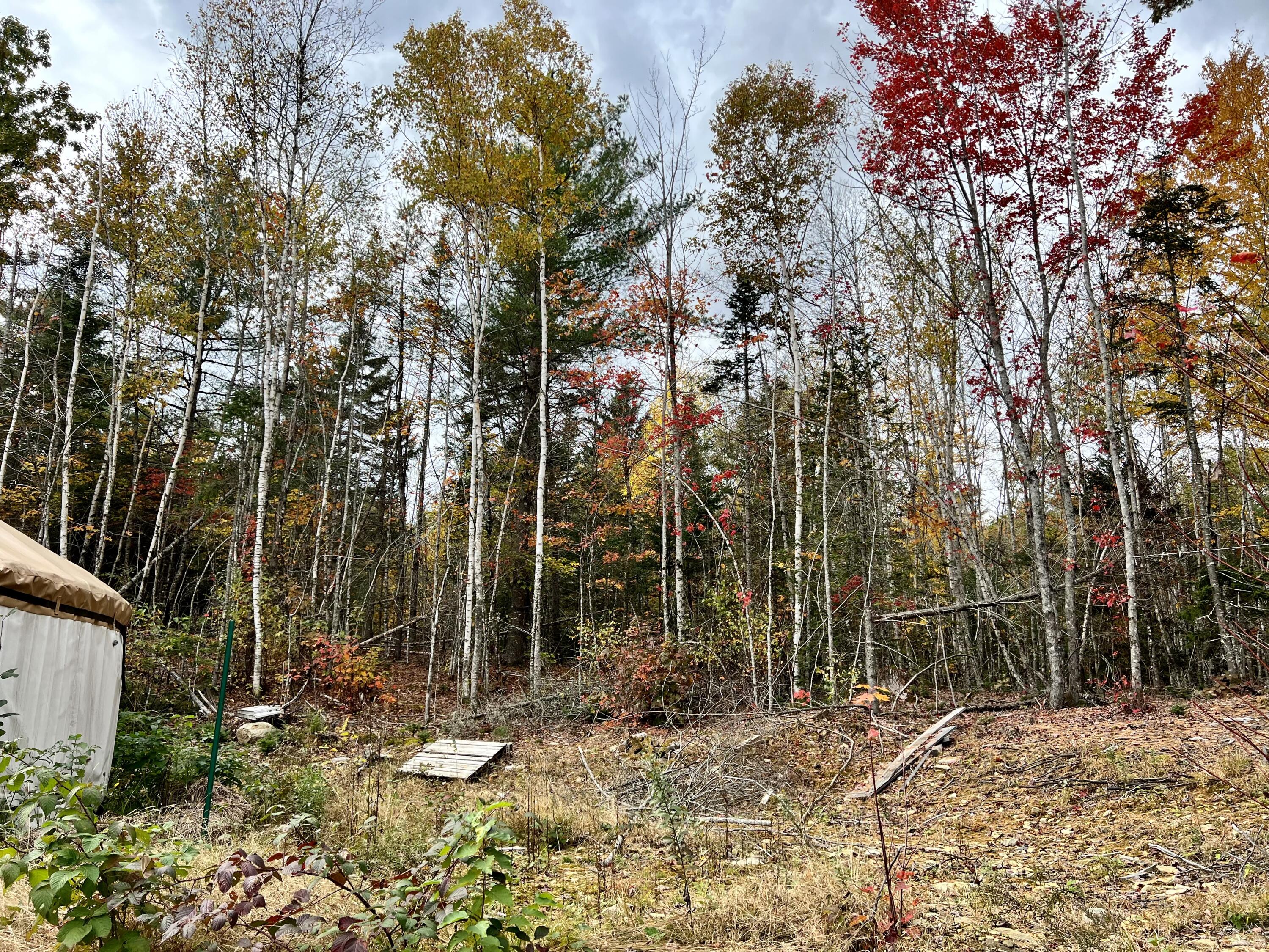 57 Pond Hill Road Brooks, ME 04921 - Photo 12 of 48 4C6D489C-5094-45EB-99CC-E9368ABE49C2