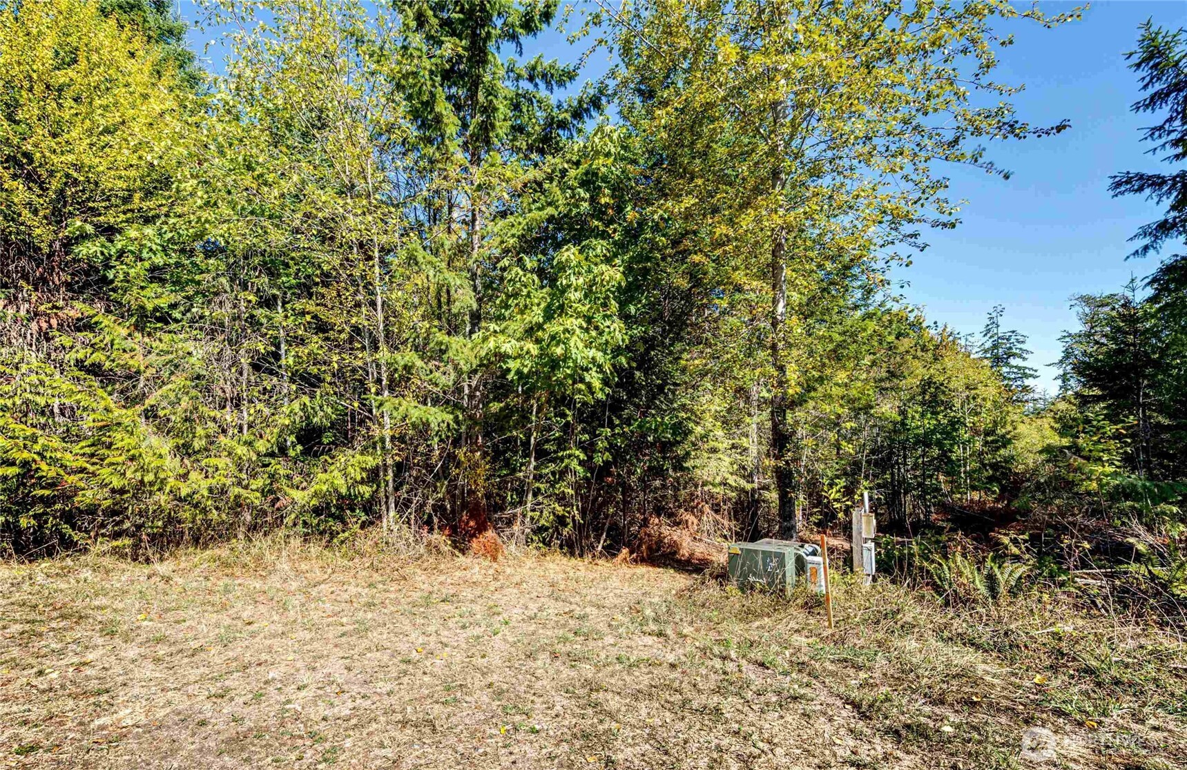 4 Colville Rd Port Port Angeles, WA 98363 - Photo 11 of 37 Gallery Image 11